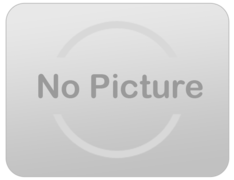 Classic Celebration Bundle